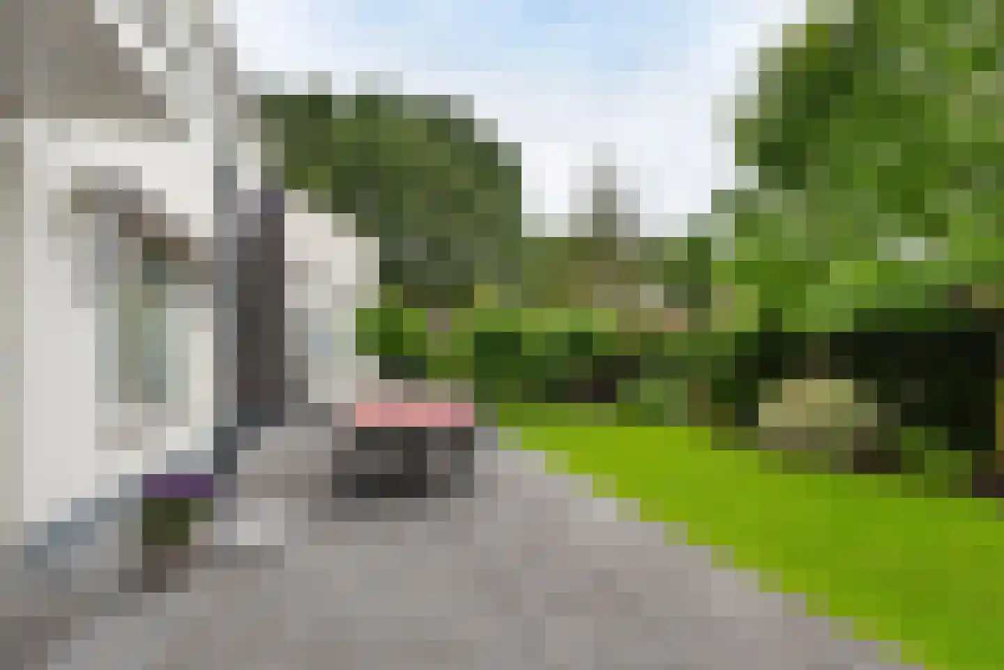 Populierenstraat 46 Roelofarendsveen thumbnail 33