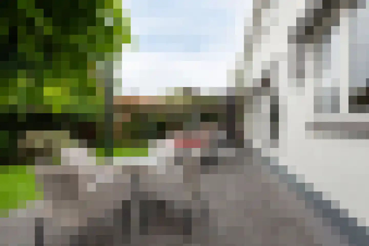 Populierenstraat 46 Roelofarendsveen thumbnail 34