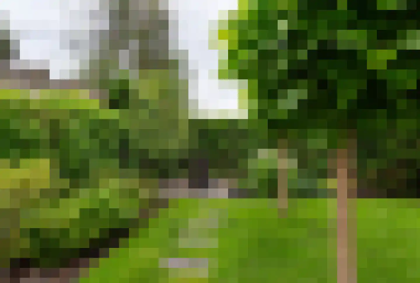 Populierenstraat 46 Roelofarendsveen thumbnail 37