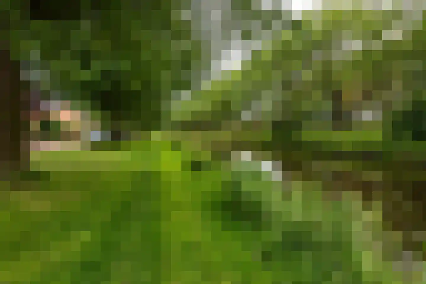 Populierenstraat 46 Roelofarendsveen thumbnail 41