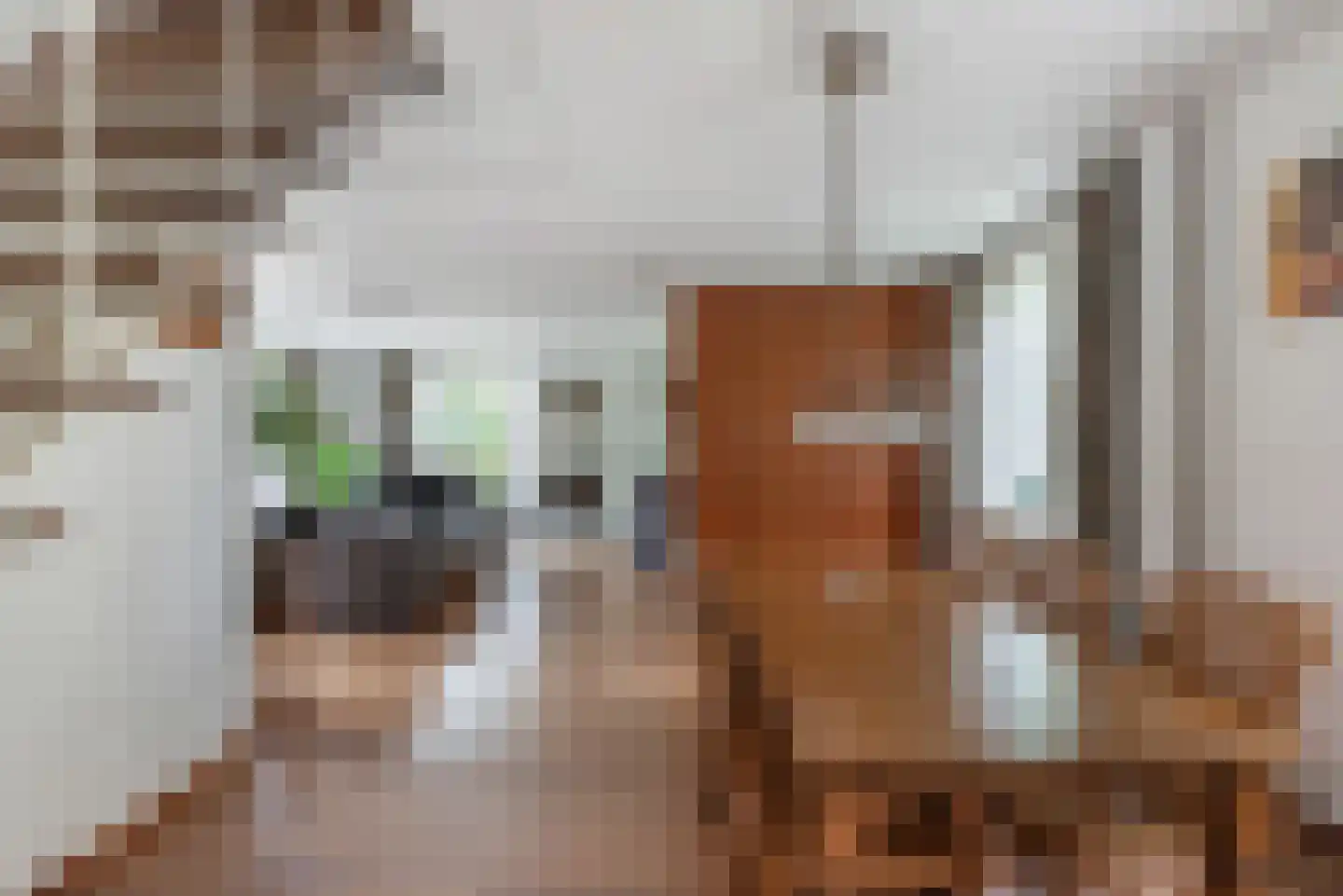 Populierenstraat 46 Roelofarendsveen thumbnail 7