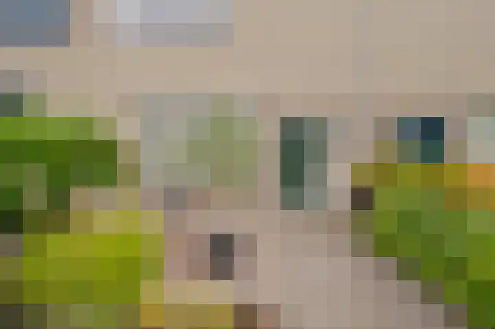 Populierenstraat 5 Spijkenisse thumbnail 12