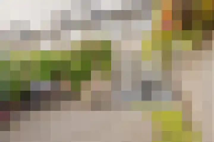 Populierenstraat 5 Spijkenisse thumbnail 19