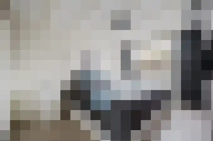 Populierenstraat 5 Spijkenisse thumbnail 22