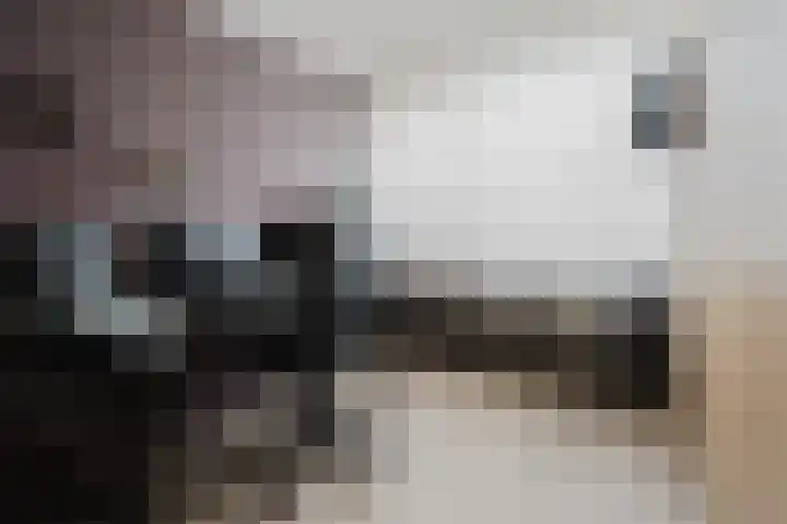 Populierenstraat 5 Spijkenisse thumbnail 24