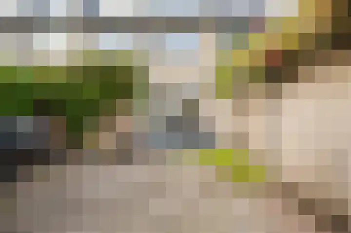 Populierenstraat 5 Spijkenisse thumbnail 5