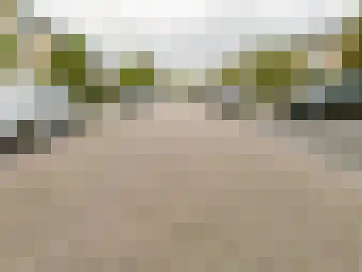Populierenstraat 5 Spijkenisse thumbnail 8