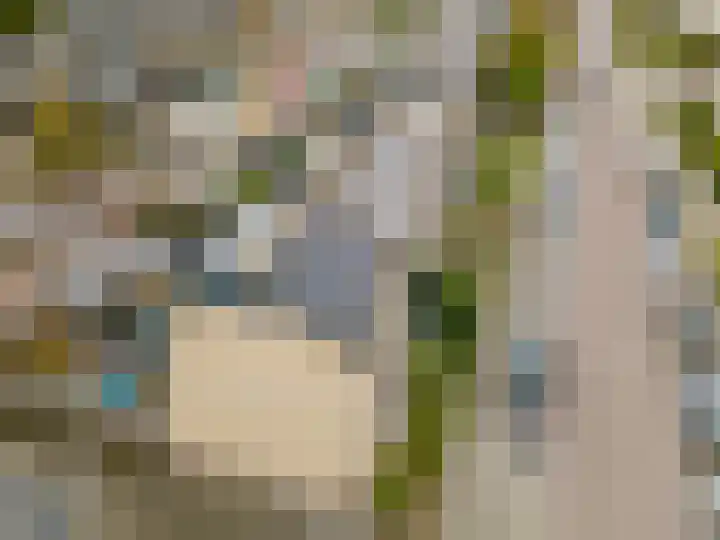 Populierenstraat 5 Spijkenisse thumbnail 9