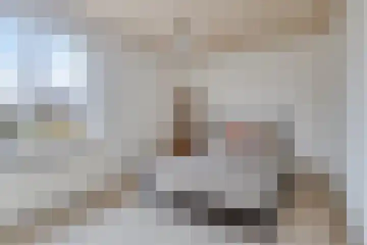 Populierenstraat 5 Vinkel thumbnail 17
