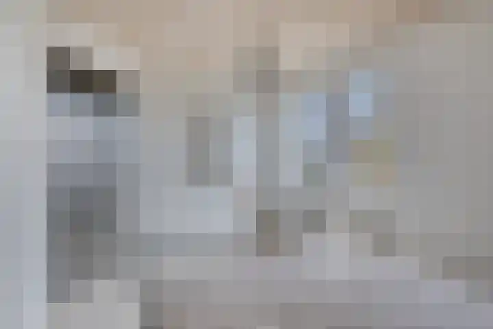 Populierenstraat 5 Vinkel thumbnail 18