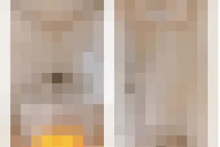 Populierenstraat 5 Vinkel thumbnail 22