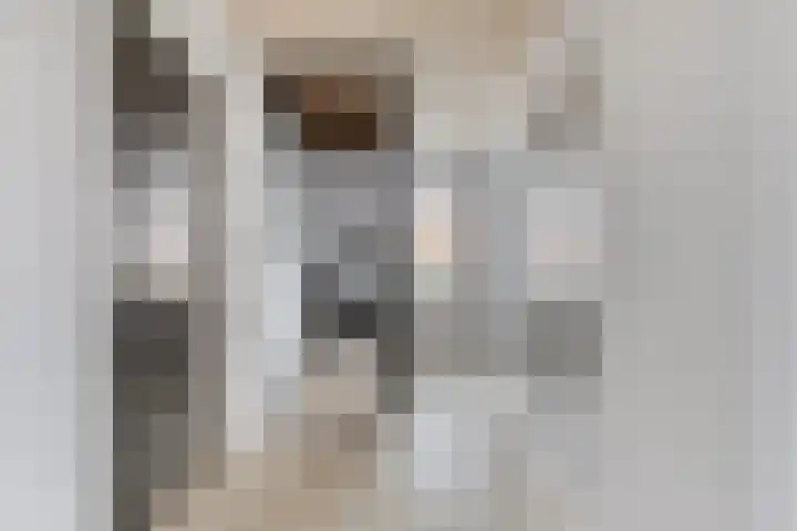 Populierenstraat 5 Vinkel thumbnail 24