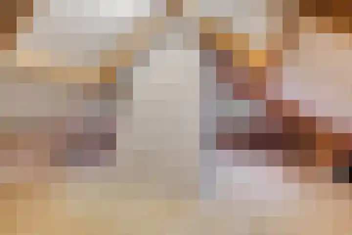Populierenstraat 5 Vinkel thumbnail 27