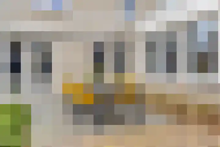 Populierenstraat 5 Vinkel thumbnail 34