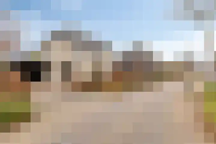 Populierenstraat 5 Vinkel thumbnail 36