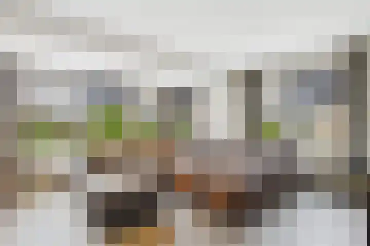 Populierenstraat 53 Vogelwaarde thumbnail 11