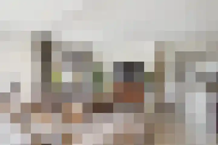 Populierenstraat 53 Vogelwaarde thumbnail 12