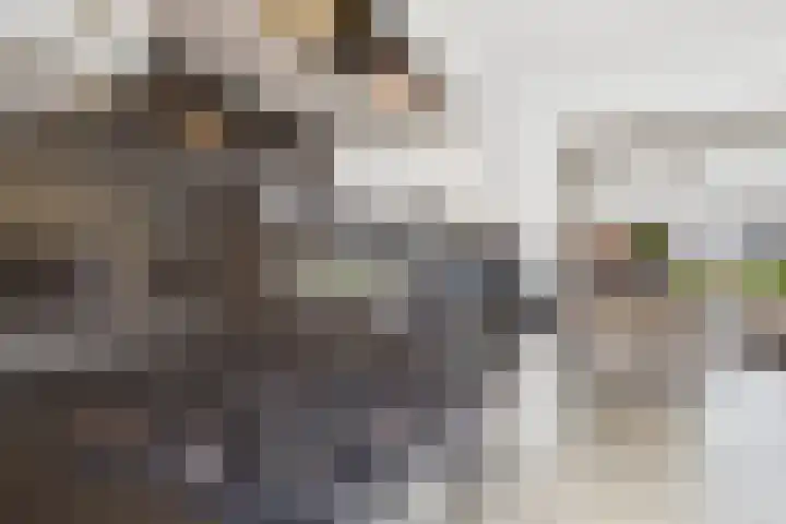 Populierenstraat 53 Vogelwaarde thumbnail 18