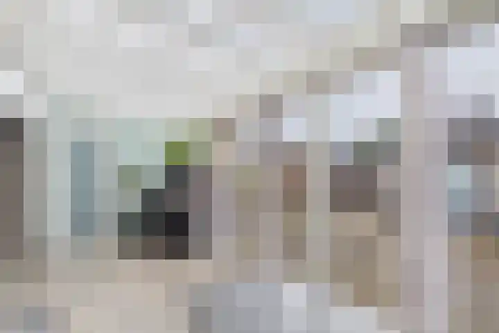 Populierenstraat 53 Vogelwaarde thumbnail 19