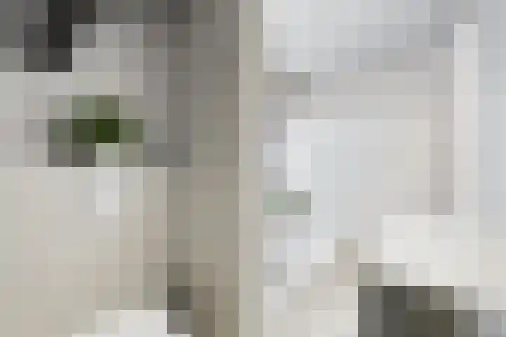 Populierenstraat 53 Vogelwaarde thumbnail 32