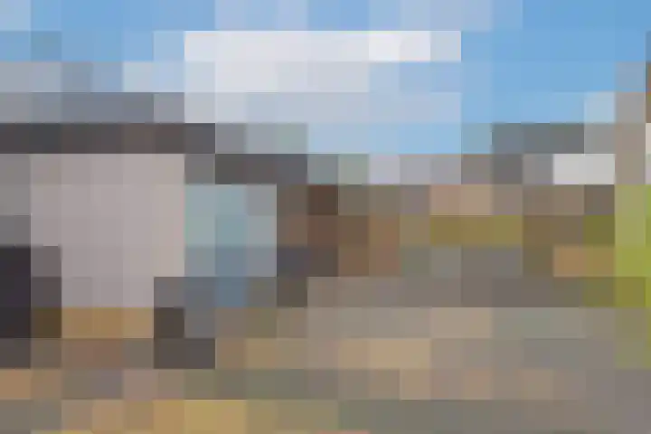Populierenstraat 53 Vogelwaarde thumbnail 35
