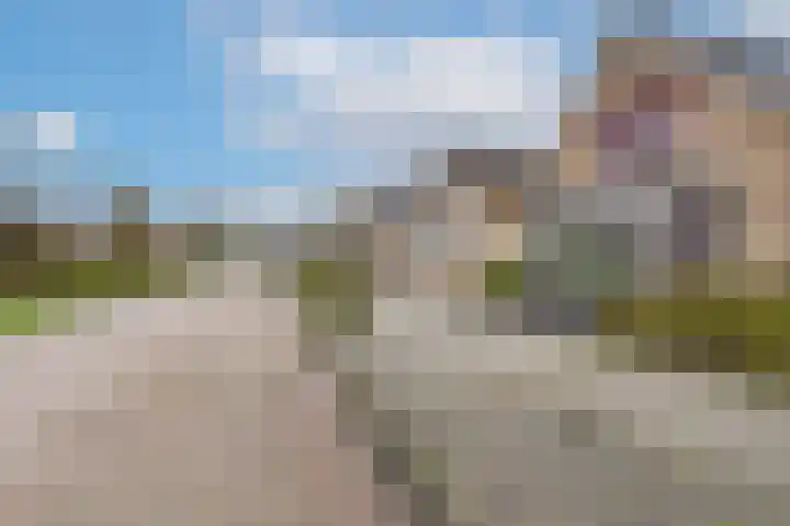 Populierenstraat 53 Vogelwaarde thumbnail 40