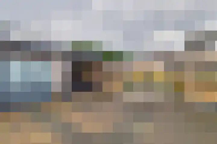 Populierenstraat 53 Vogelwaarde thumbnail 5