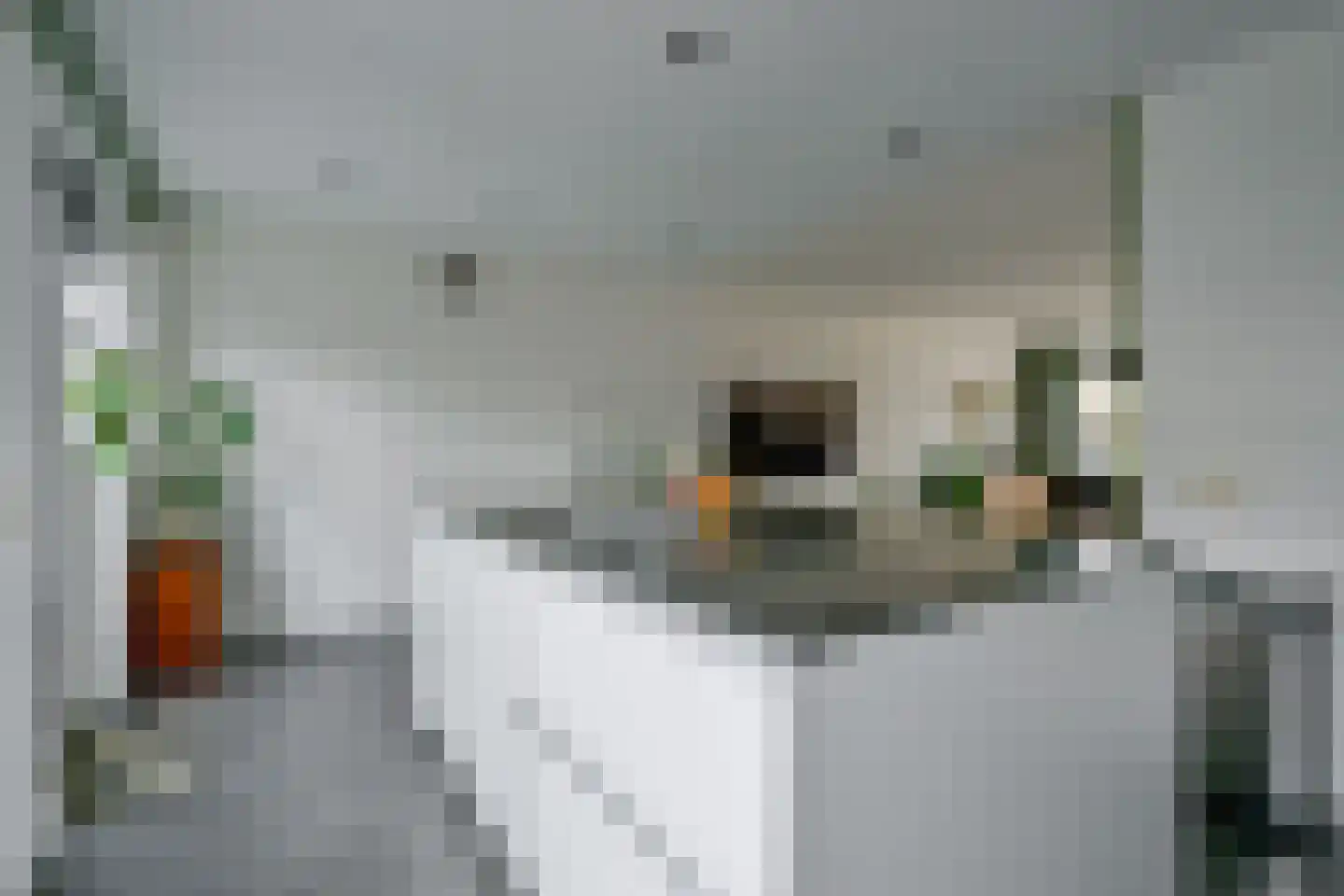 Populierenstraat 55 Winkel thumbnail 14
