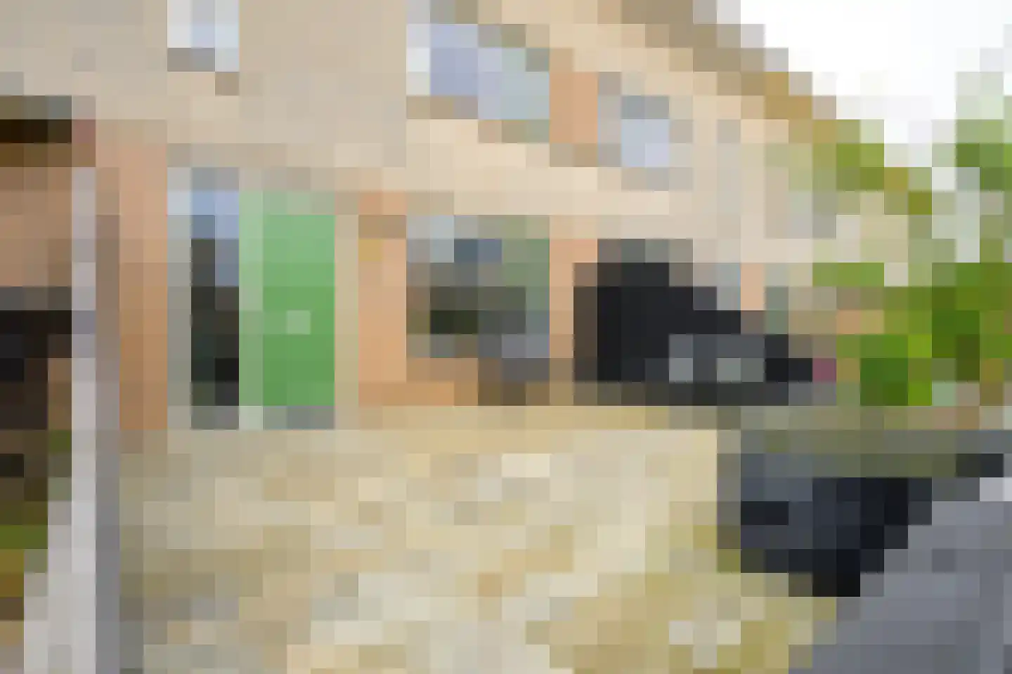 Populierenstraat 55 Winkel thumbnail 4