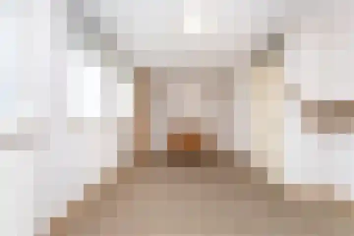 Populierenstraat 6 Brunssum thumbnail 19
