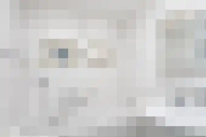 Populierenstraat 6 Brunssum thumbnail 20