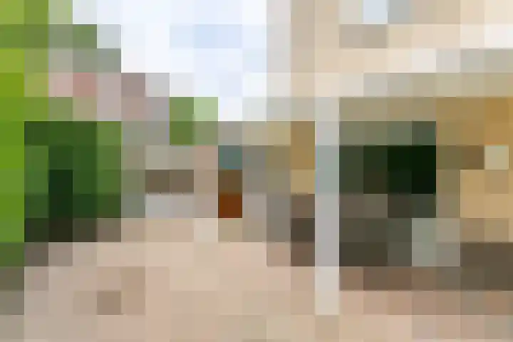 Populierenstraat 6 Brunssum thumbnail 33