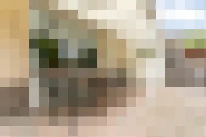Populierenstraat 6 Brunssum thumbnail 34