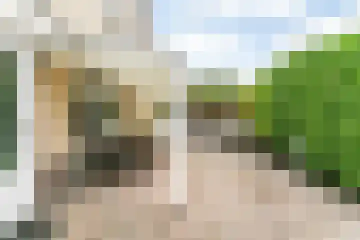 Populierenstraat 6 Brunssum thumbnail 35
