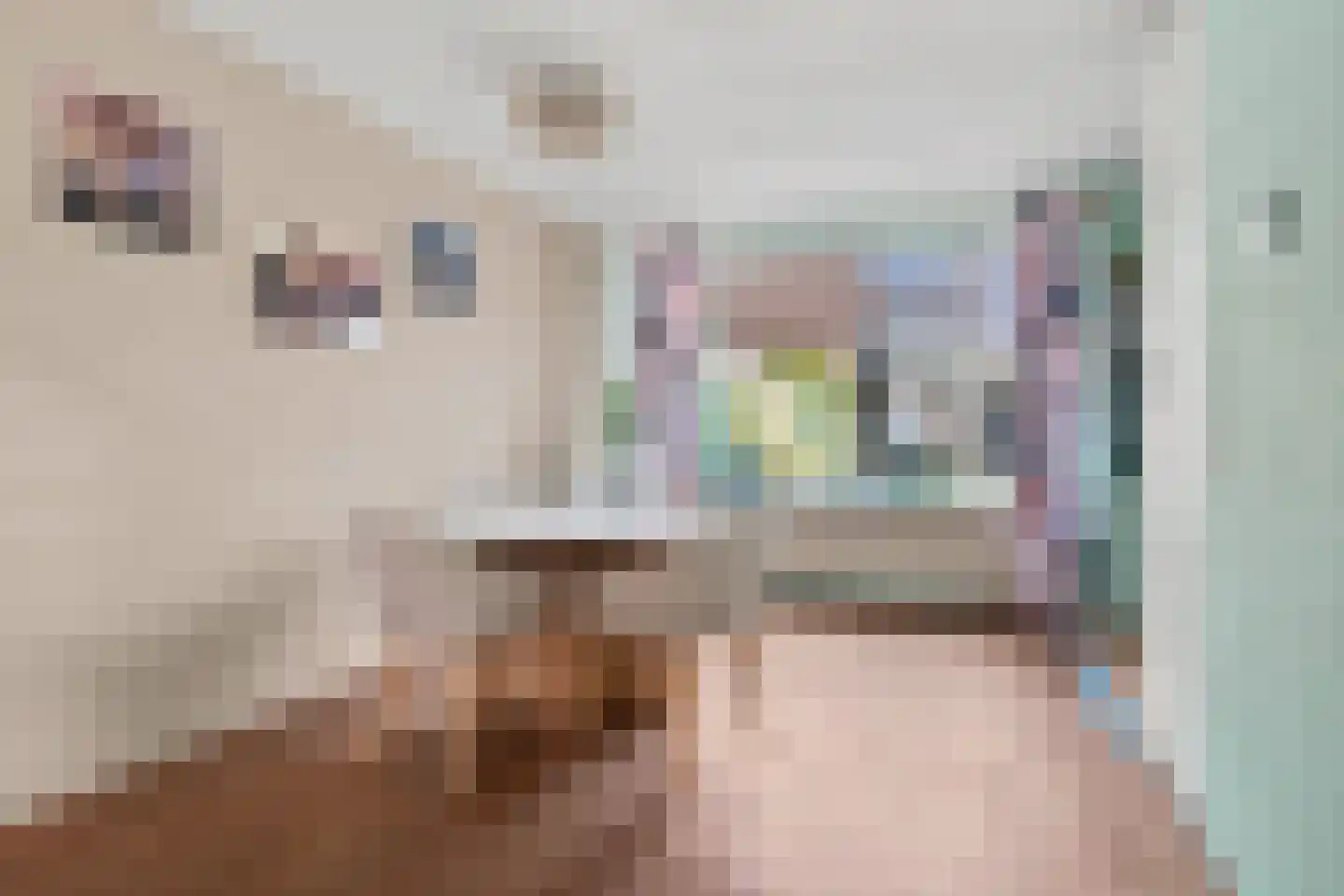 Populierenstraat 6 Goes thumbnail 10