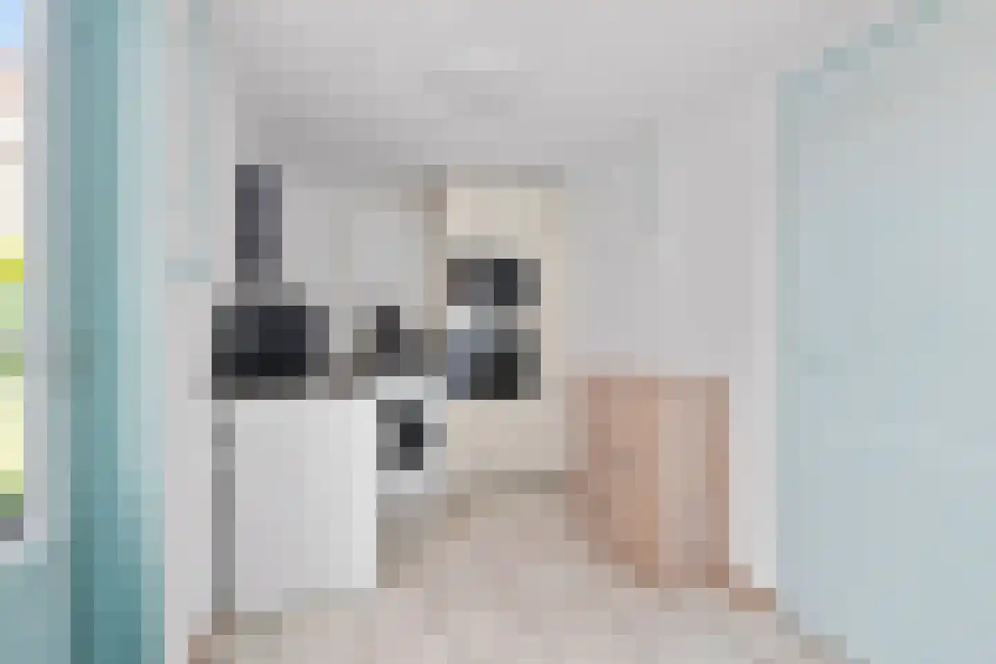 Populierenstraat 6 Goes thumbnail 13