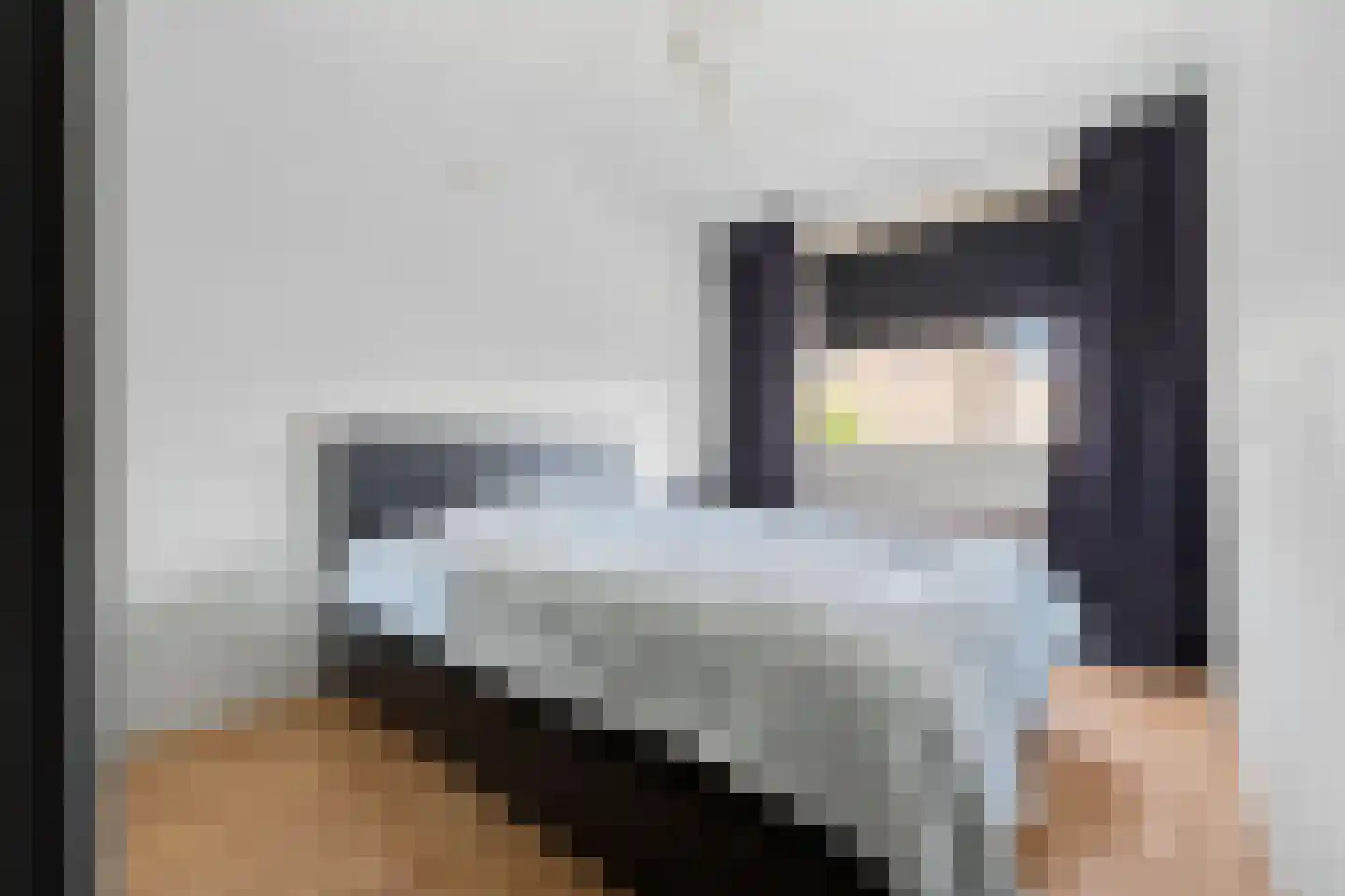 Populierenstraat 6 Goes thumbnail 17