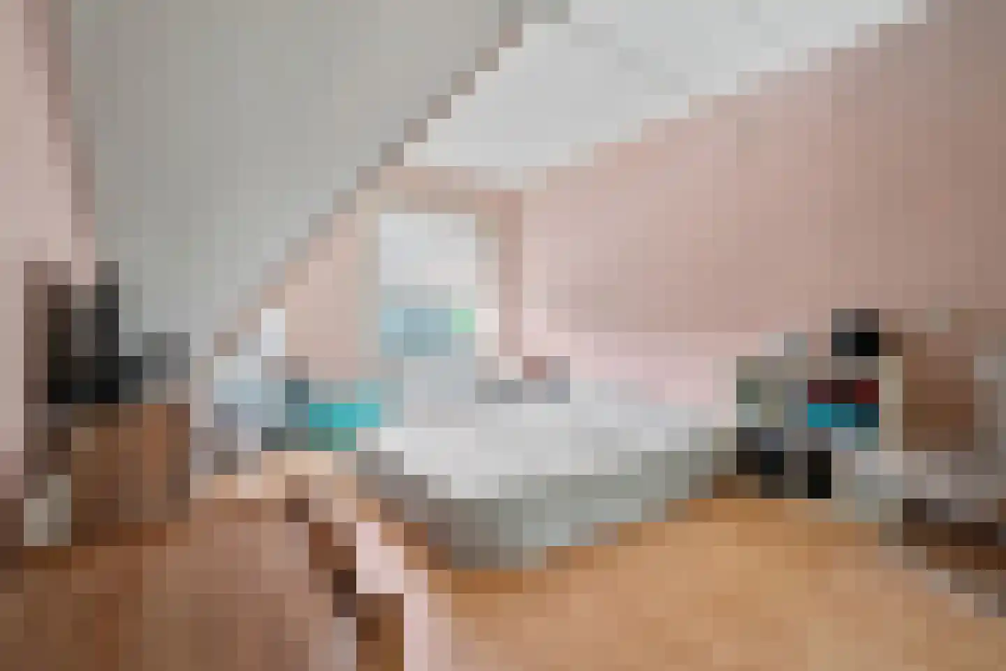 Populierenstraat 6 Goes thumbnail 19