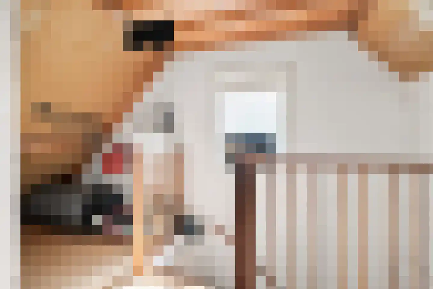 Populierenstraat 6 Goes thumbnail 24