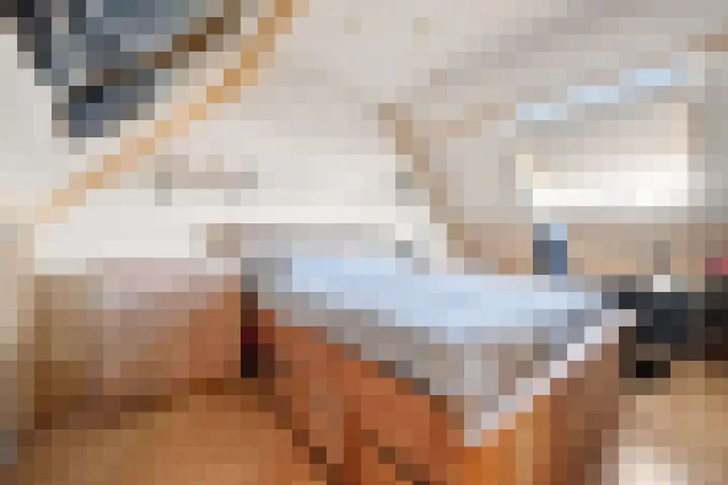 Populierenstraat 6 Goes thumbnail 26