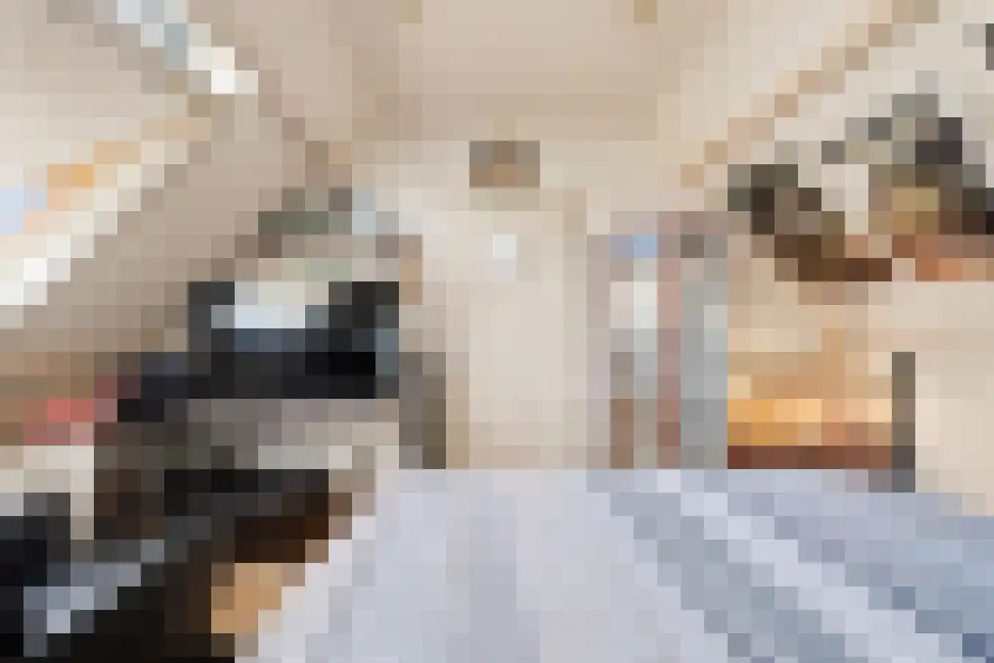 Populierenstraat 6 Goes thumbnail 27