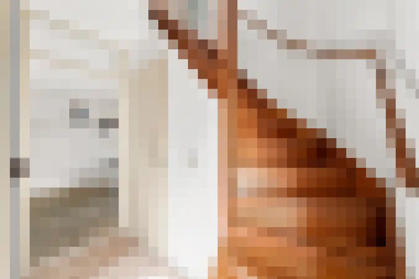 Populierenstraat 6 Goes thumbnail 4