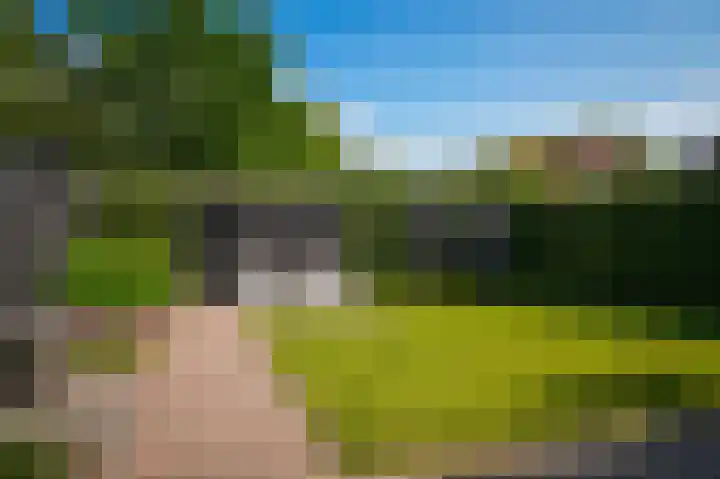 Populierenstraat 67 Boven-Leeuwen thumbnail 43