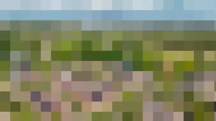Populierenstraat 67 Boven-Leeuwen thumbnail 56