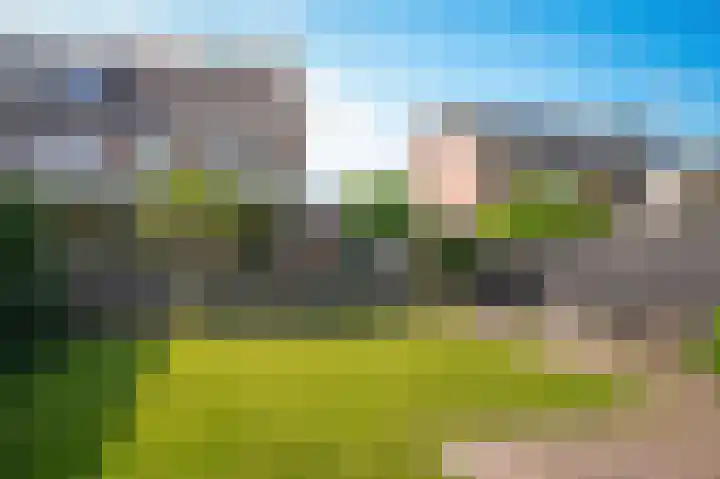 Populierenstraat 67 Boven-Leeuwen thumbnail 64