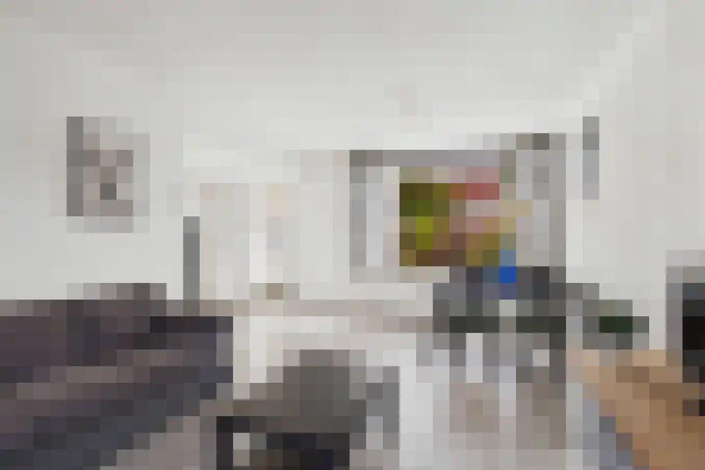 Populierenstraat 9 Terneuzen thumbnail 13