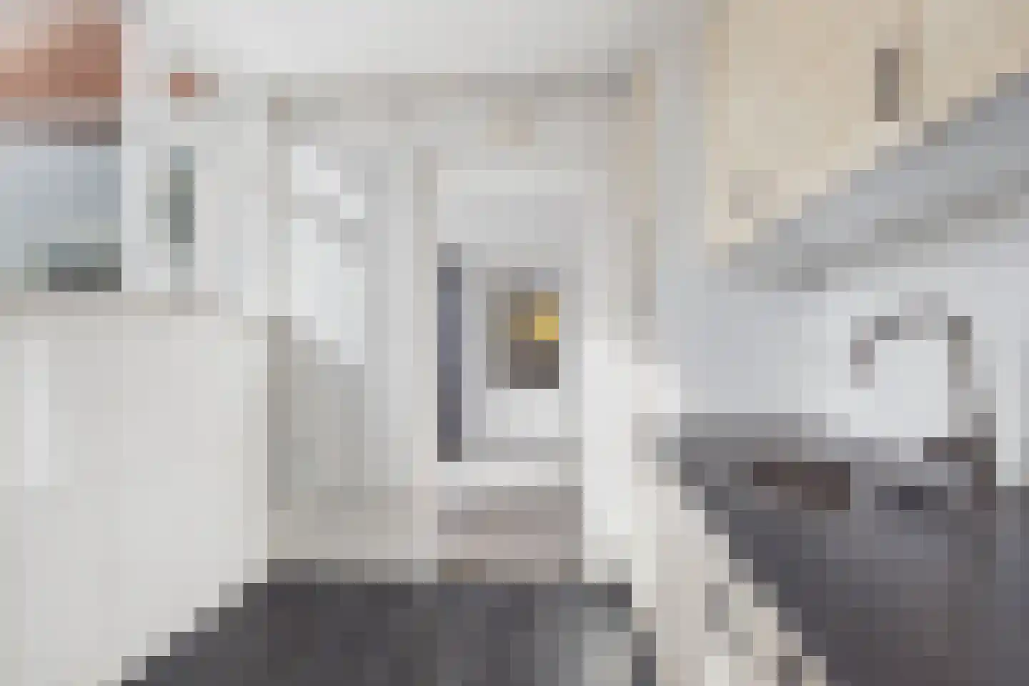 Populierenstraat 9 Terneuzen thumbnail 17