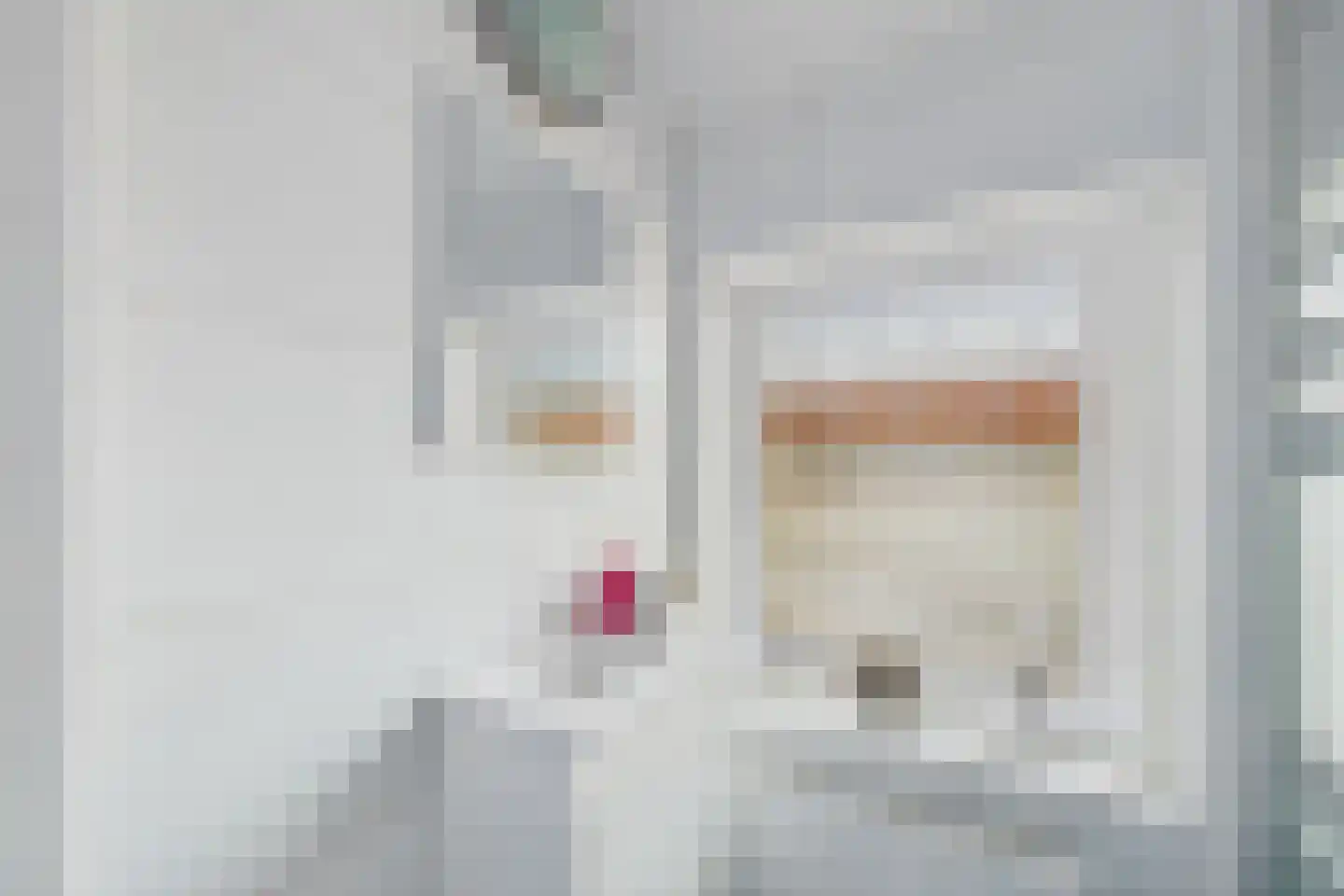 Populierenstraat 9 Terneuzen thumbnail 35