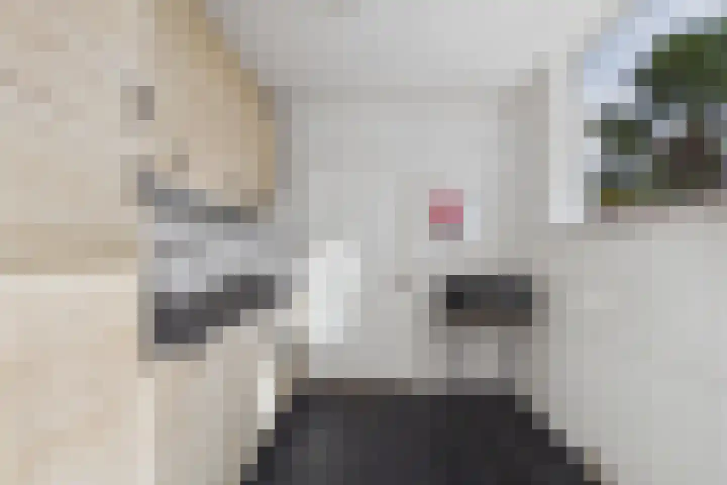 Populierenstraat 9 Terneuzen thumbnail 4