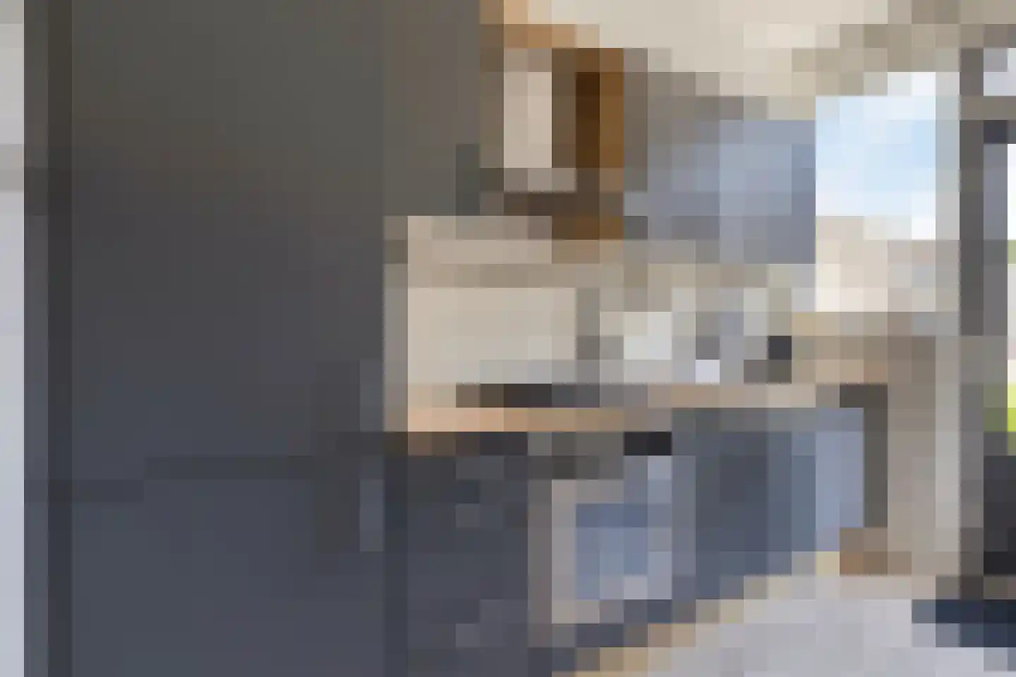 Populierenstraat 96 Goes thumbnail 11